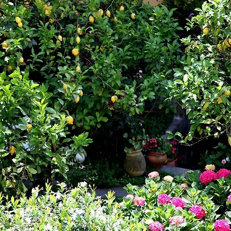 Bellambra Monterosso al Mare