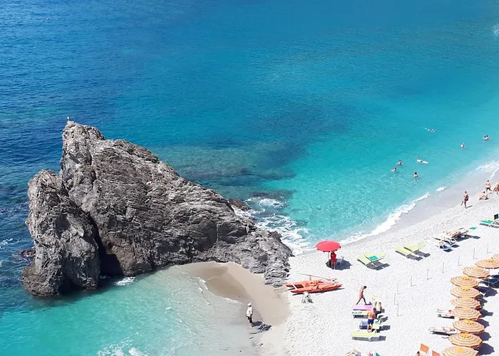 게스트하우스 Bellambra 3*