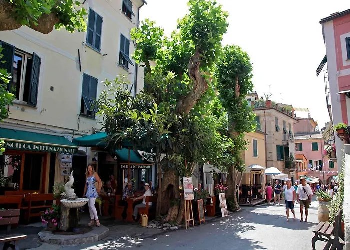 Bellambra 몬테로소 알 마레