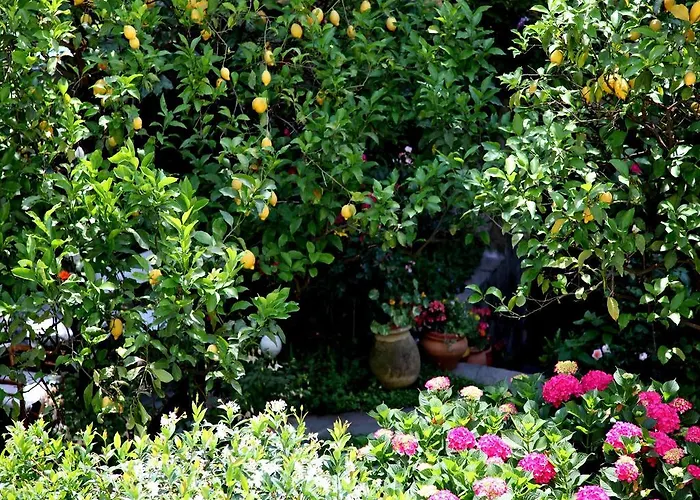 Bellambra Monterosso al Mare